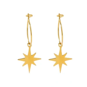 Star Earrings Stainless Steel Plated With 18K Gold