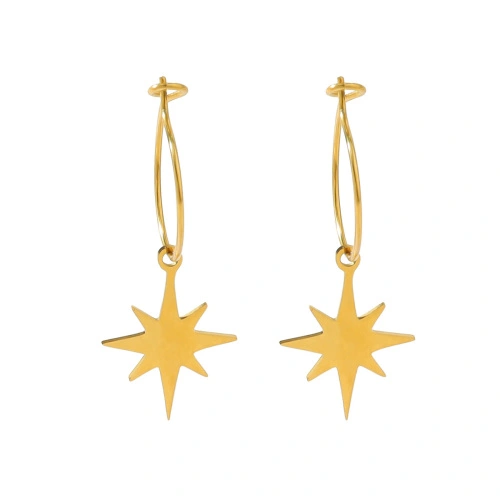 Star Earrings Stainless Steel Plated With 18K Gold