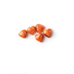 Natural Red Chrysanthemum Shell Cut Size Shape